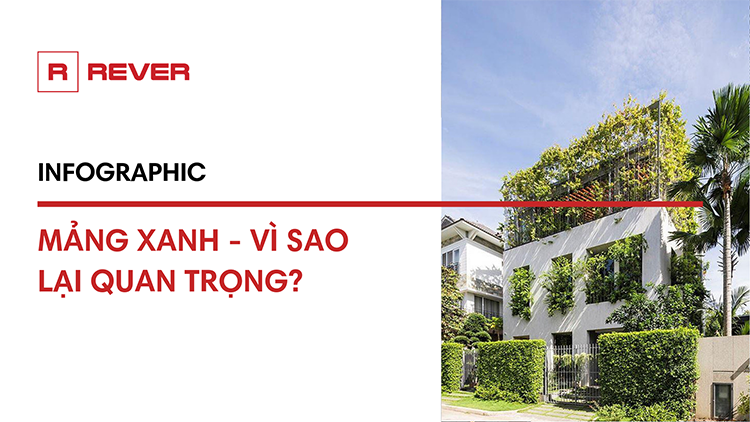 Infographic: Mảng xanh - Vì sao lại quan trọng?