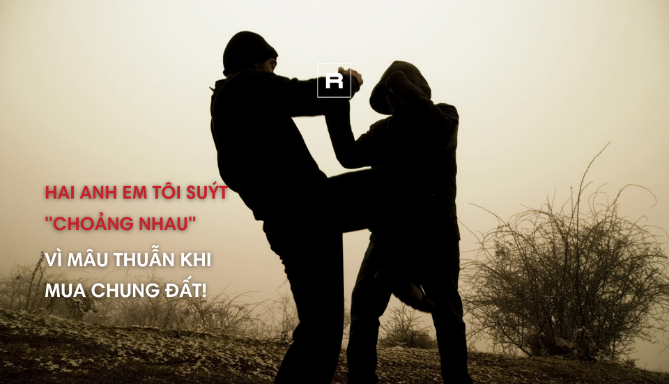 Hai anh em tôi suýt "choảng nhau" vì mâu thuẫn khi mua đất!