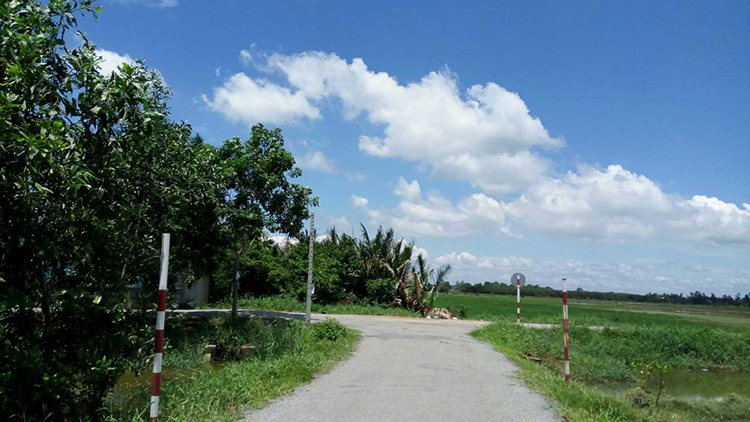 TP.HCM xin chuyển chức năng 384,2 ha đất ở Hóc Môn để phát triển đô thị
