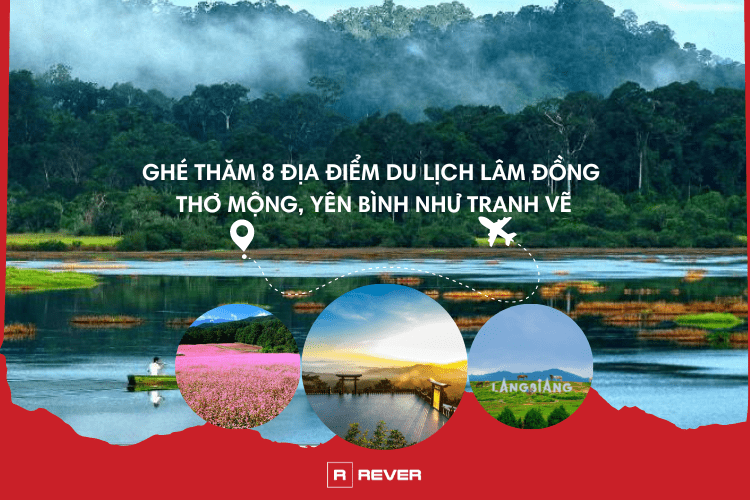 Ghé thăm 8 địa điểm du lịch Lâm Đồng thơ mộng, yên bình như tranh vẽ