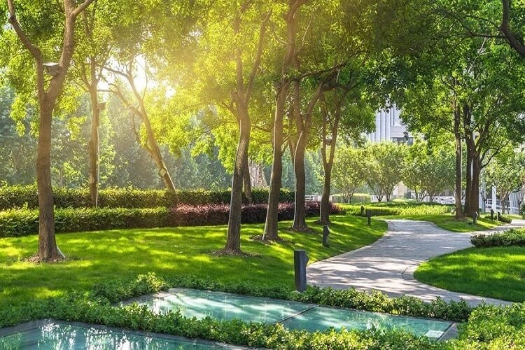 Dự án SwanBay có thực sự tiềm năng? Đánh giá chi tiết từ Rever